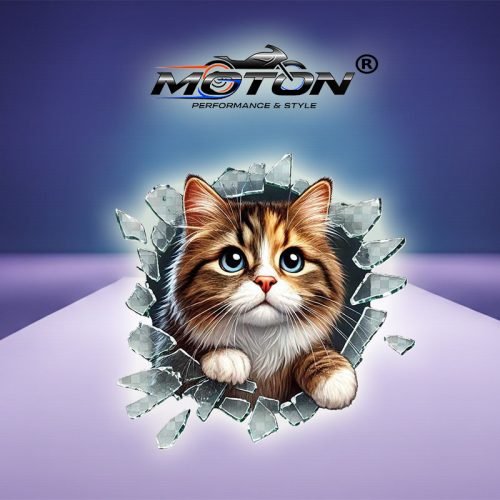 Kedi Stray Araç Sticker 10cm X 10cm