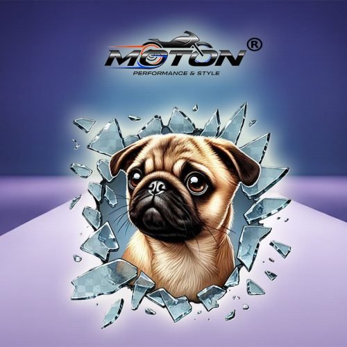 Köpek French Bulldog Sticker 10cm X 10cm