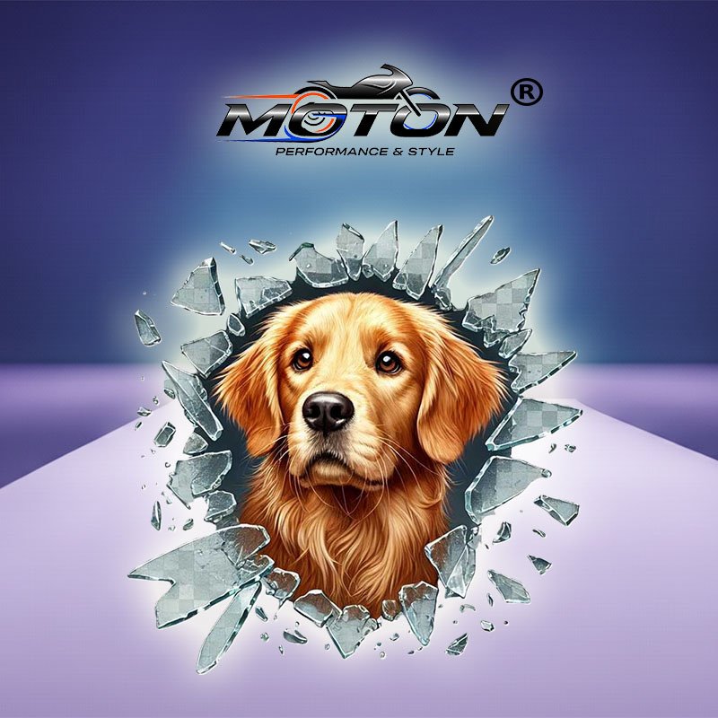 Köpek Golden Sticker 10cm X 10cm