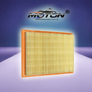 Hava Filtre Elemanı (0DM0-110100)